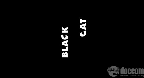 black cat